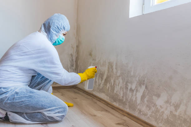 Commercial Mold Remediation assessment for commercial property in Ashland