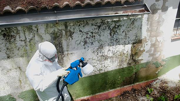 Mold Remediation service in Ashland, Ashland, OR
